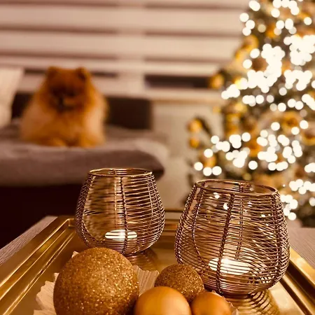 Easyescape - Rene M 200m Het * ミデルケルケ