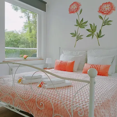 Easyescape - Rene M 200m Het ミデルケルケ